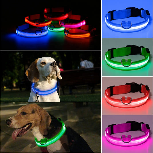 Nylon LED Pet Dog Collar,Night Safety Flashing Glow in the Dark Dog Leash