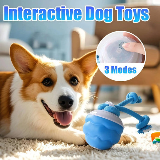 Interactive Dog Toys Smart Rolling Ball With Rope Motion Activated