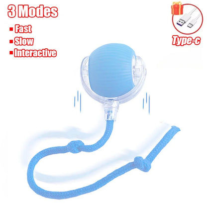 Cat - Indoor Automatic Rolling Magic Ball Electronic Interactive Cat Toy