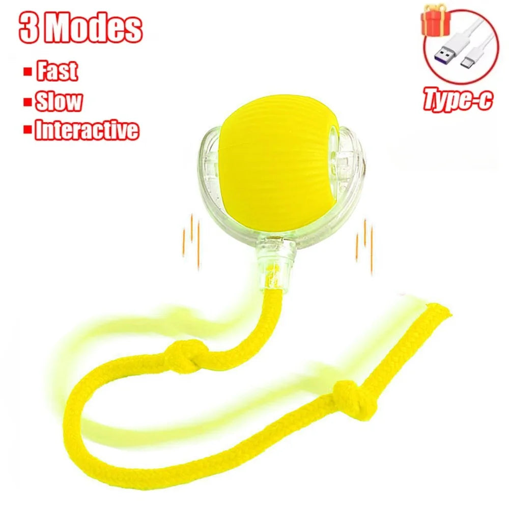 Cat - Indoor Automatic Rolling Magic Ball Electronic Interactive Cat Toy