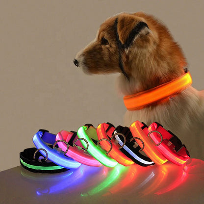 Nylon LED Pet Dog Collar,Night Safety Flashing Glow in the Dark Dog Leash