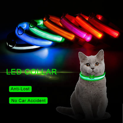 Nylon LED Pet Dog Collar,Night Safety Flashing Glow in the Dark Dog Leash