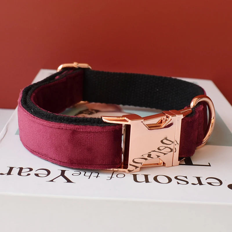 Free Engraved Metal Buckle Retailing Stout Durable Soft Dog Collars