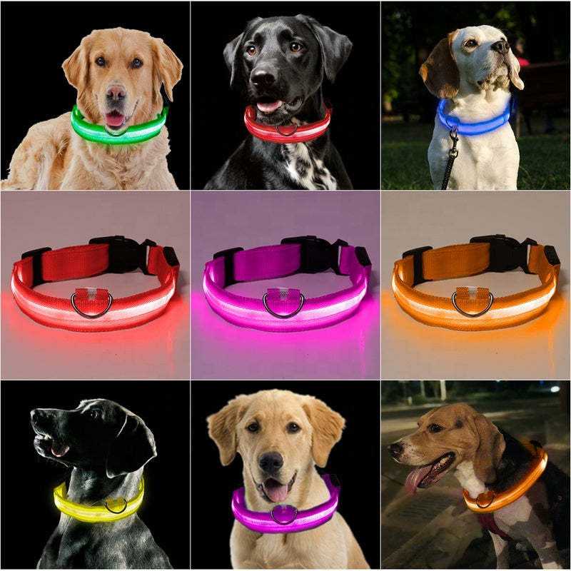 Nylon LED Pet Dog Collar,Night Safety Flashing Glow in the Dark Dog Leash
