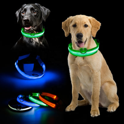 Nylon LED Pet Dog Collar,Night Safety Flashing Glow in the Dark Dog Leash