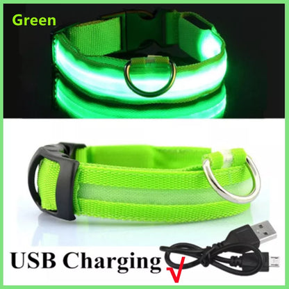 USB Rechargeable Luminous Collar Led Glowing Collar for Dogs & Cats