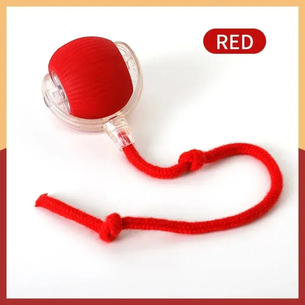 Cat - Indoor Automatic Rolling Magic Ball Electronic Interactive Cat Toy
