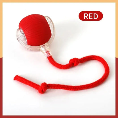 Cat - Indoor Automatic Rolling Magic Ball Electronic Interactive Cat Toy