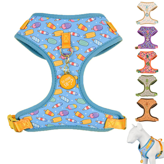 Pet Harness & Color Matching ID Tag Free