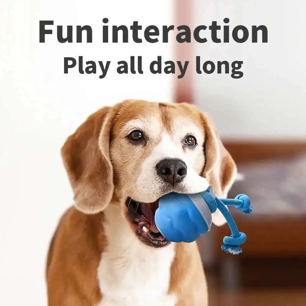 Interactive Dog Toys Smart Rolling Ball With Rope Motion Activated