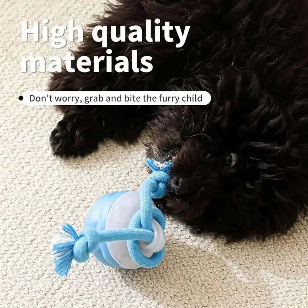 Interactive Dog Toys Smart Rolling Ball With Rope Motion Activated