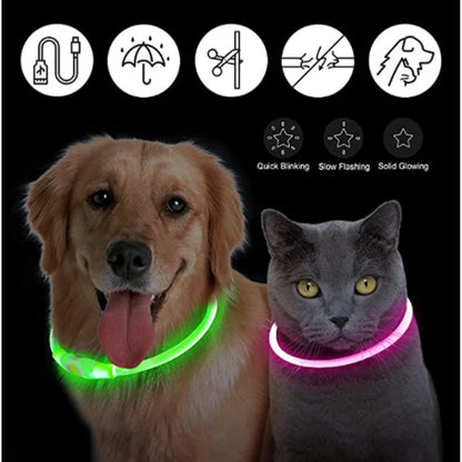 USB Rechargeable Luminous Collar Led Glowing Collar for Dogs & Cats