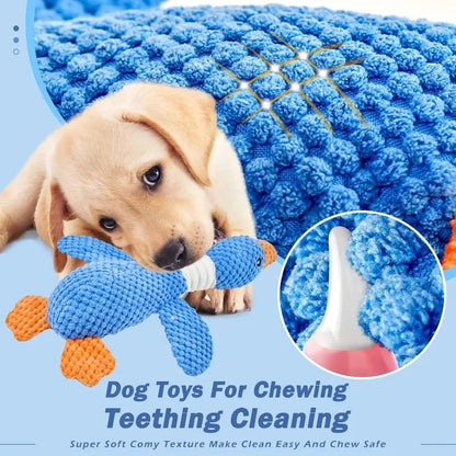 Cat Dog Toys for Aggressive Chewers Cats Dogs,Chew Squeak Toy