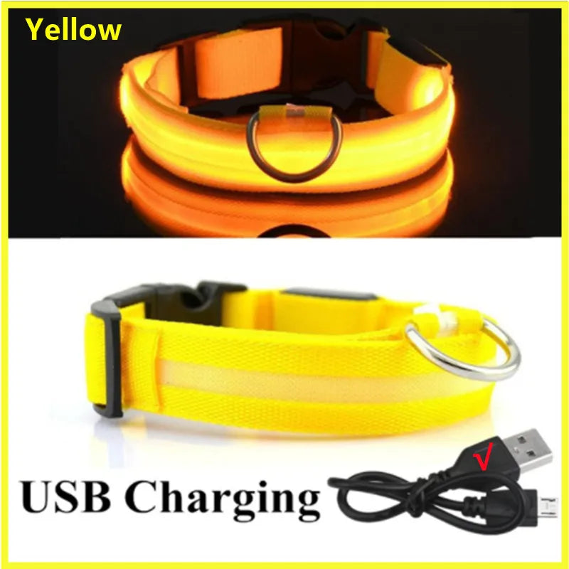 USB Rechargeable Luminous Collar Led Glowing Collar for Dogs & Cats