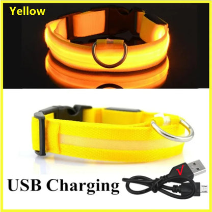 USB Rechargeable Luminous Collar Led Glowing Collar for Dogs & Cats