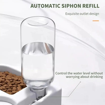 Basin Dual-Use Multi-Functional Drinking and Feeding