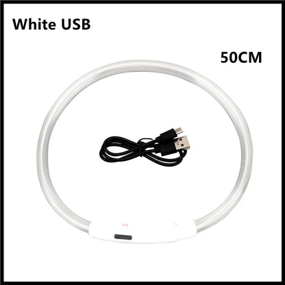 USB Rechargeable Luminous Collar Led Glowing Collar for Dogs & Cats