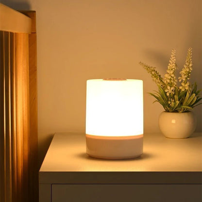 Dimmable Charging Desktop Night Lamps