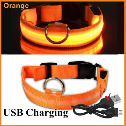 USB Rechargeable Luminous Collar Led Glowing Collar for Dogs & Cats