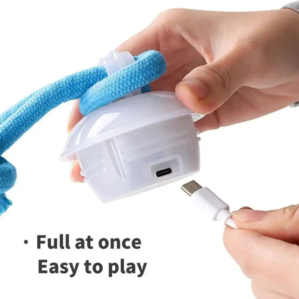 Interactive Dog Toys Smart Rolling Ball With Rope Motion Activated