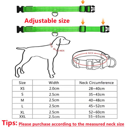 USB Rechargeable Luminous Collar Led Glowing Collar for Dogs & Cats