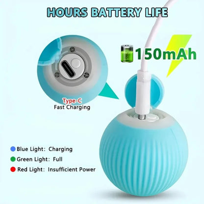 Cat - Indoor Automatic Rolling Magic Ball Electronic Interactive Cat Toy